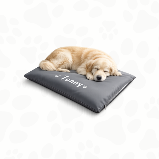 Custom rectangular bed for dogs and cats