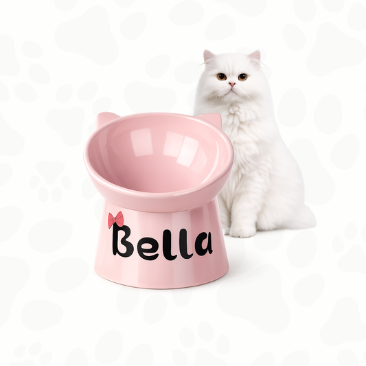 Personalized cat bowl tilted at 15°