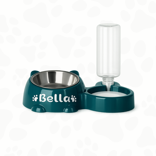 Personalized automatic feeding and water bowl for cats