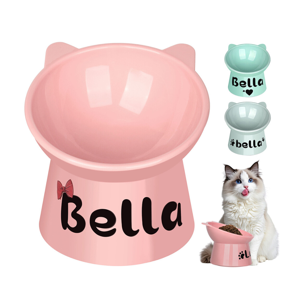 Bol personnalisé pour chat incliné à 15°