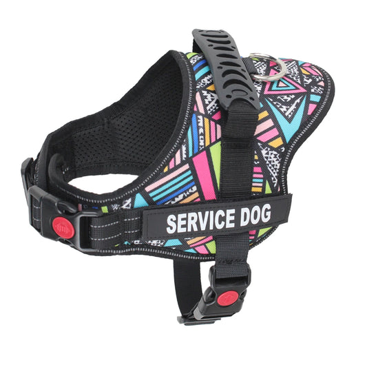 Harnais pour chien patch personnalisé avec poignée