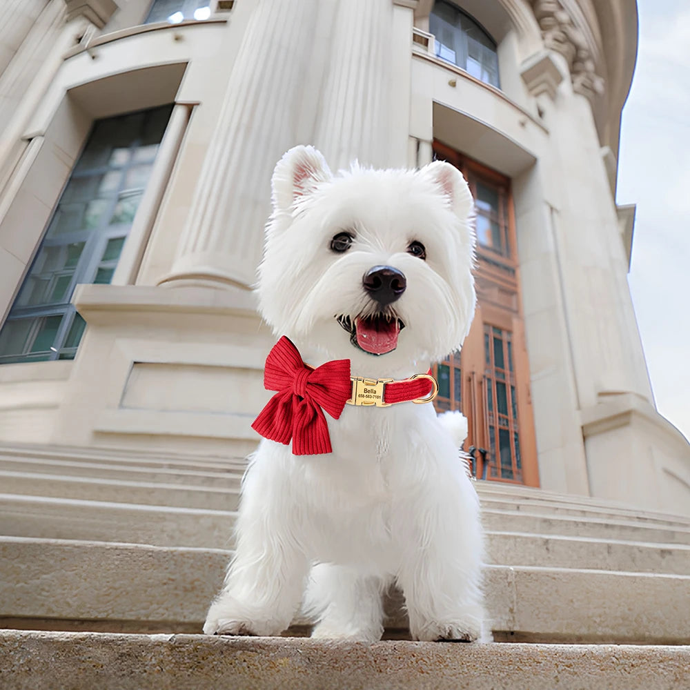 Collier Personnalisé pour Chien Effet Velours Nœud Papillon