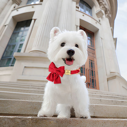 Collier Personnalisé pour Chien Effet Velours Nœud Papillon