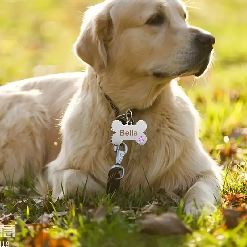 Médaille personnalisée pour chien et chat (Forme Os)
