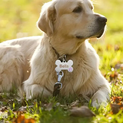 Médaille personnalisée pour chien et chat (Forme Os)