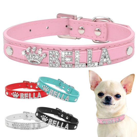 Colliers personnalisé pour chien en strass scintillants