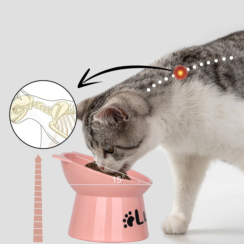 Bol personnalisé pour chat incliné à 15°