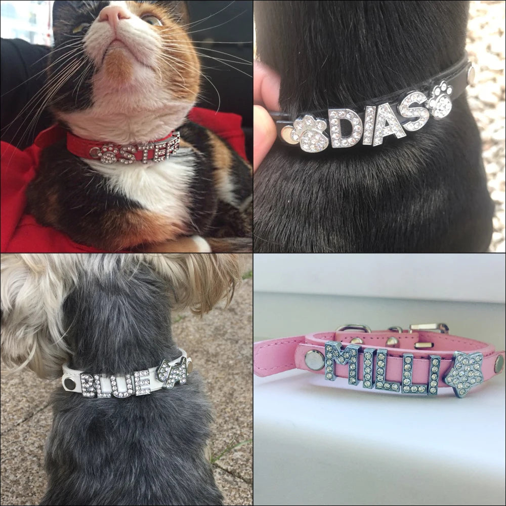 Colliers personnalisé pour chien en strass scintillants